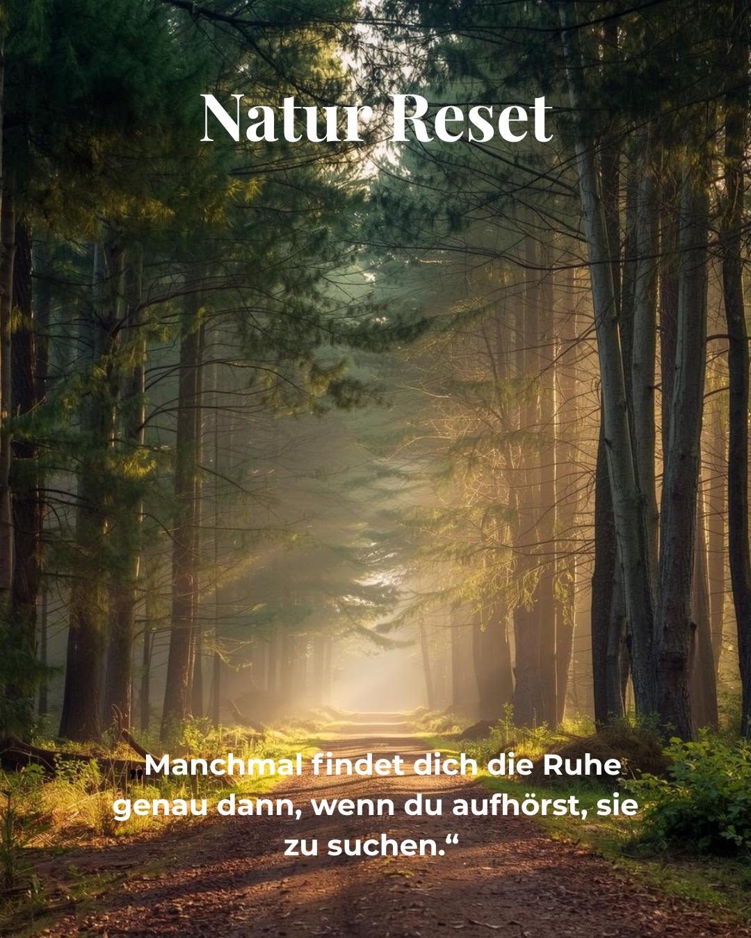 Natur_Reset_Säge_schärfen